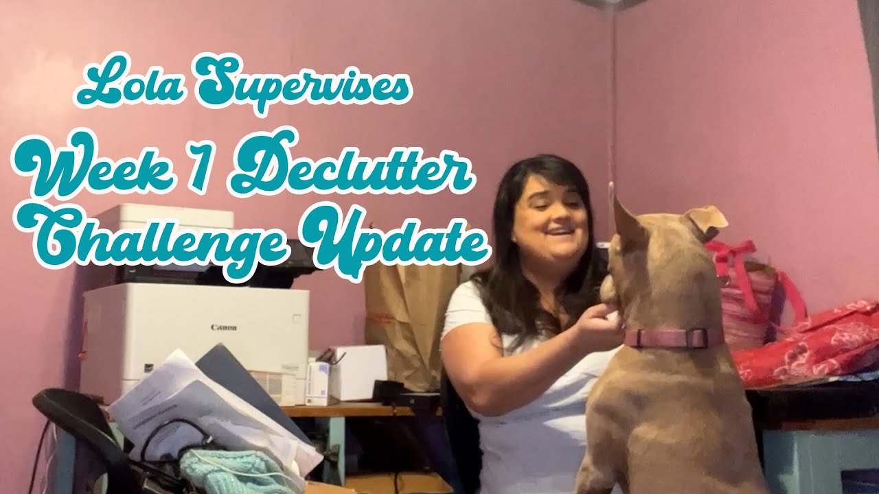 January Decluttering Challenge: Week 1 Update - YouTube