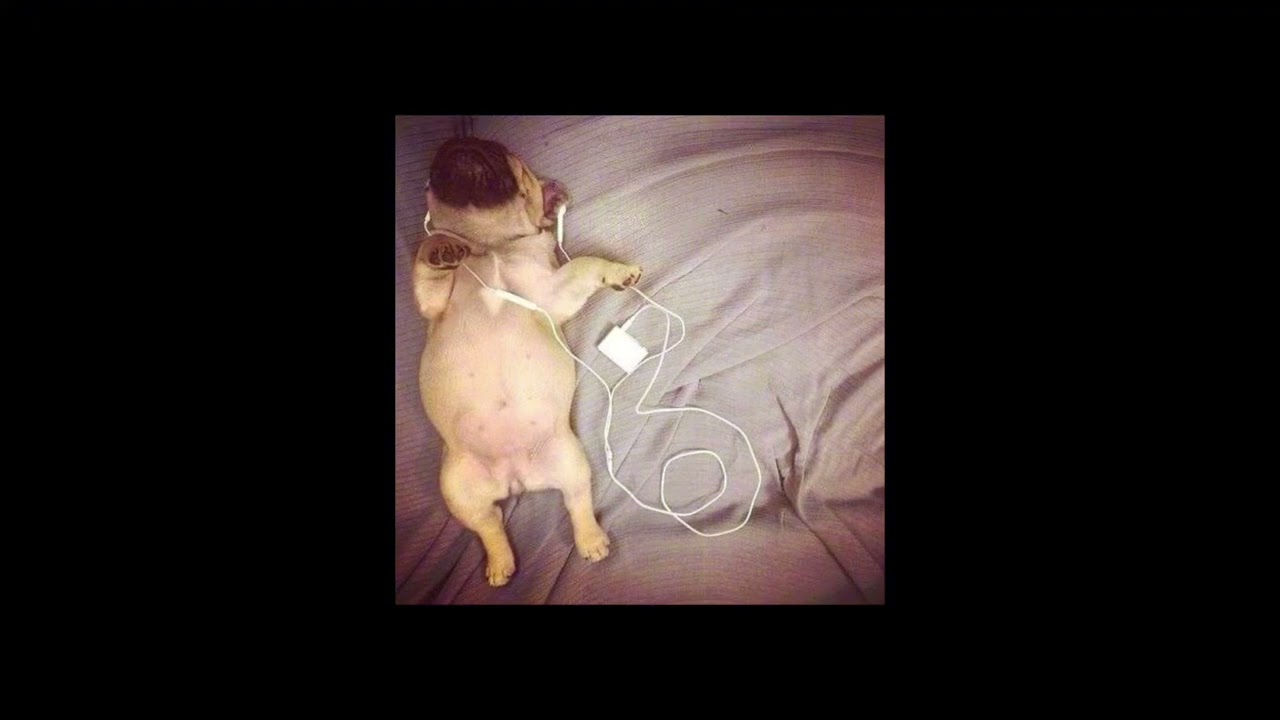 ЖИТНОСТЬ ~ МАЛЬЧИК НА ДЕВЯТКЕ 2 speed up + reverd 