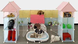 How to make Cute Castle for POM dogs - DIY Happy House for USA cats - Build an animal cave by MR PET FAMILY 6,093 views 6 months ago 4 minutes, 47 seconds