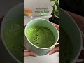 Homemade matcha latte 🌱🍵💚 #matchalover