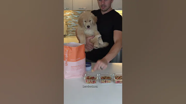 The secret to motivating my puppy #dog #food #spot...