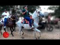 🐎🐴CABALGATA en Soplaviento Bolívar, Colombia. 10 Diciembre 2022 🐎🐴