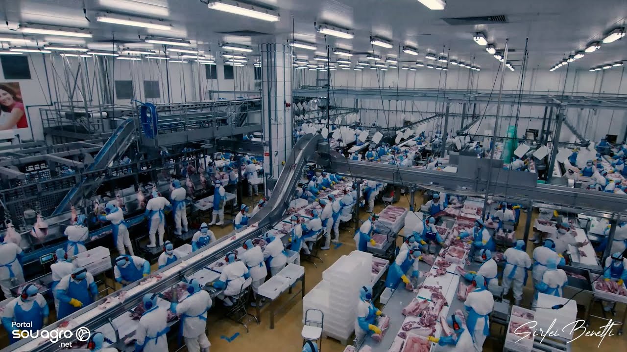 Maior frigorífico de suínos da América Latina é do Oeste paranaense