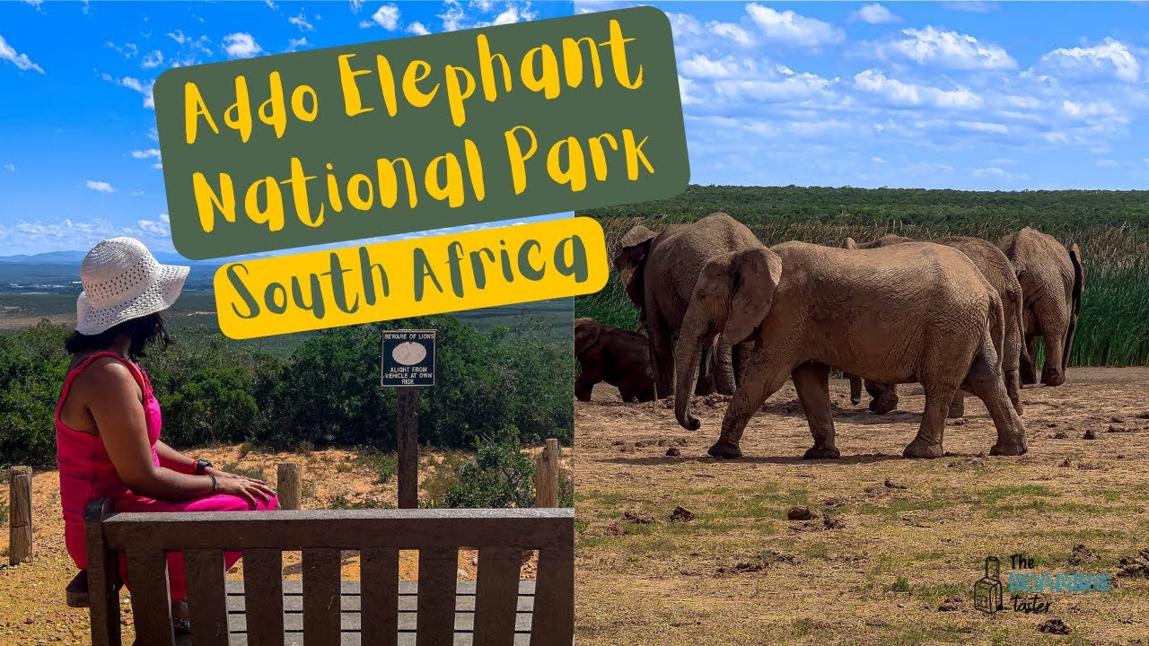 Port Elizabeth Airport To Addo Elephant Park www.youtube.com
