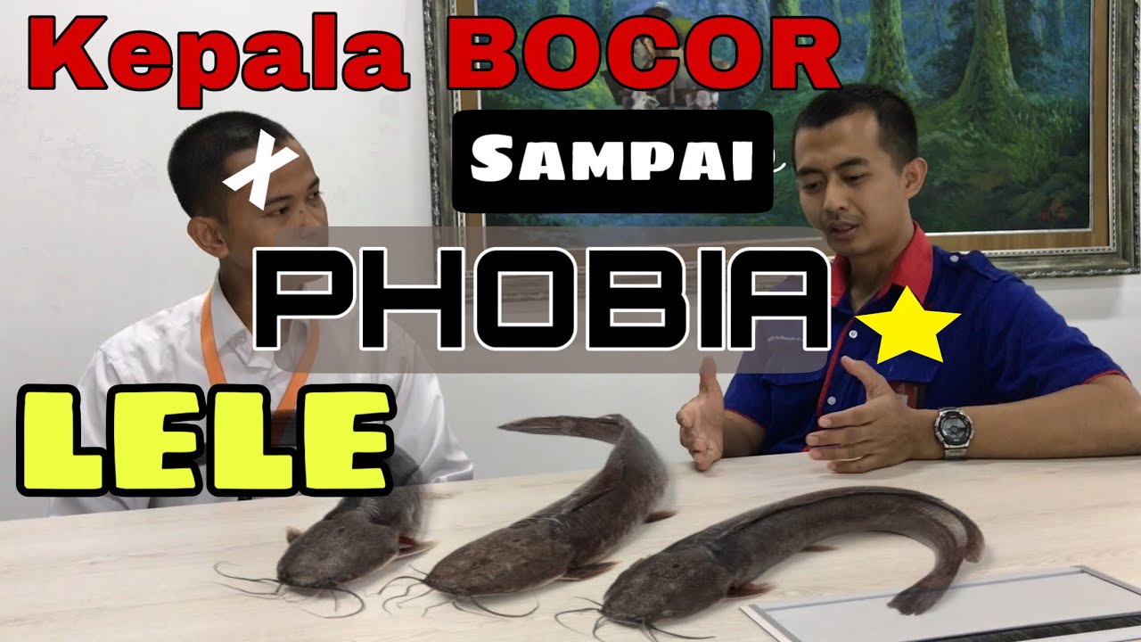 Cara Mengobati Phobia Ikan Lele dengan EFT 