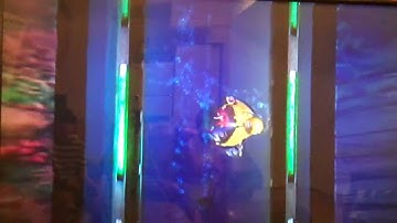 Crash the Wrath of Cortex walkthrough part 8 - level 7 - sea shell Shenanigans