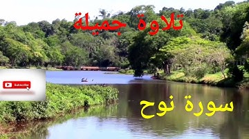 تلاوة خلالية لسورة نوح للقارئ سعيد دباح