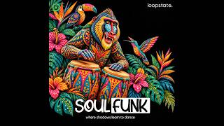 Late-Night Vintage Soul-Funk Grooves | Minimal Funk Session | ep.72 – Fencewalk