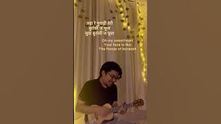 Sunle Dagadiya | Pappu Karki | ukulele cover | ispyronnie