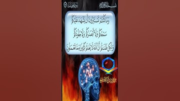 تلاوة مميزة القارئ يونس الياس الحسن الموصلي قرية أبو ماريا ٢٠٢٢