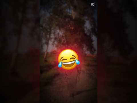صدفه ايه يبو صدفه كابونجا