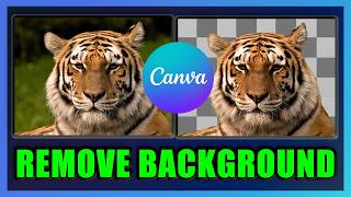 How to Remove a Background from an Image in Canva | FREE Method | 2026 screenshot 5