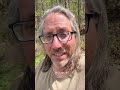 You Are a Creator: The Divine Blueprint #shorts