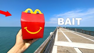 Will SALTWATER Fish eat FAST FOOD?? (Fishing Experiment)