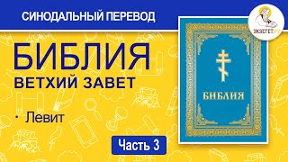 видео: БИБЛИЯ. Ветхий Завет. Синодальный перевод. Часть 3. картинка: БИБЛИЯ. Ветхий Завет. Синодальный перевод. Часть 3.