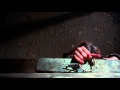 The evil dead 1981 best scenes somethings chasing cheryl