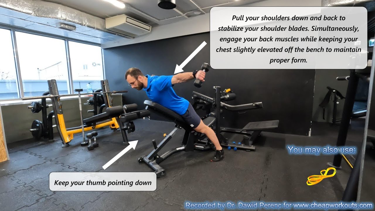 Incline bench chest supported dumbbell rear delt raise - YouTube