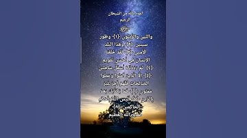 والتين والزيتون 💜حالات واتس اب قرآن كريم بصوت جميل جدا ⚘Quran Status 🌷