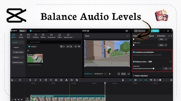 Hoe normaliseer ik audio in CapCut PC (niveau aanpassen)
