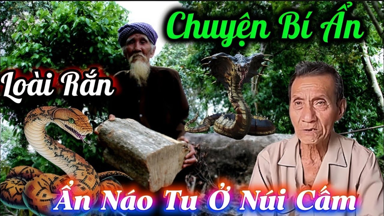 Chuyện Bí Ẩn Loài Rắn Ẩn Náo Tu Ở Núi Cấm...