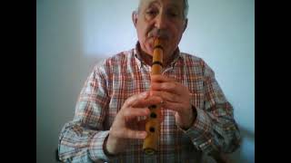 Pajarillo verde (Joropo oriental Venezolano) - Quena flute
