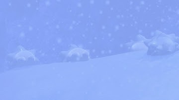 In the Blizzard Request - New Pokemon Snap Request Guides