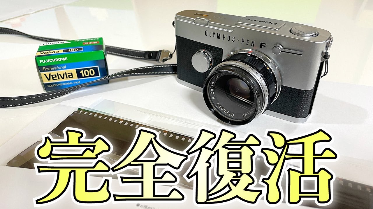 【フィルムカメラ】光漏れは直ったのか？修理後初めての現像結果を一緒に確認しよう！【オリンパス PEN-FT】
