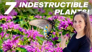 7 Easy Perennials Literally ANYONE CAN GROW!