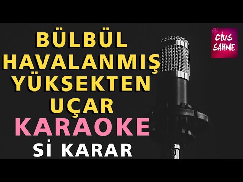 Bülbül Havalanmış Yüksekten Uçar Karaoke Altyapı Türküler | Si