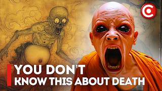 The Mysterious Book That Reveals EXACTLY What Happens When We Die