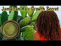 JAMAICA'S HAIR GROWTH SECRETS  #Jamaica #hairgrowth #hairgrowthsecrets
