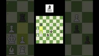 can you play checkmate soon? ...  #zerotochess #chessplayer #chess