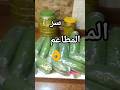 الطريقة الصح لحفظ ورق العنب لسنة كاملة 🔥#food #لايك #cooking