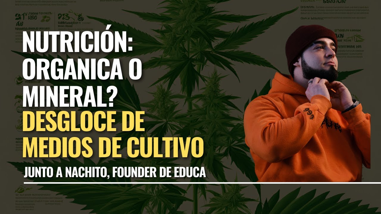 ¿Nutrición Orgánica o Mineral? Te contamos cual es mejor en este video