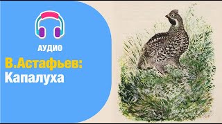 Виктор Астафьев: Капалуха (рассказ)