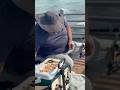 #foryou #travel #viral #lifeisbutadream #music #littlefish #food