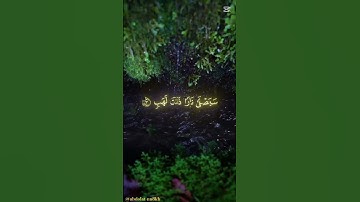 سورة المسد | sourat_al_masad | بصوت 🎙الشيخ 👳‍♀️ ماهر المعيقلي | #quran #القرآن_الكريم