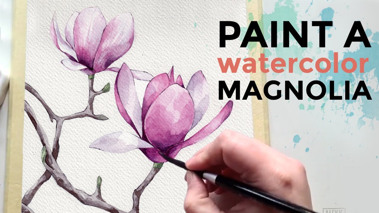 How to paint white magnolias in watercolour - Artists & Illustrators