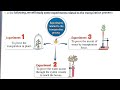 تجارب التعرق للنبات لثانية ثانوي بيولوجي لغات| Transpiration experiments | د.محمد خالد