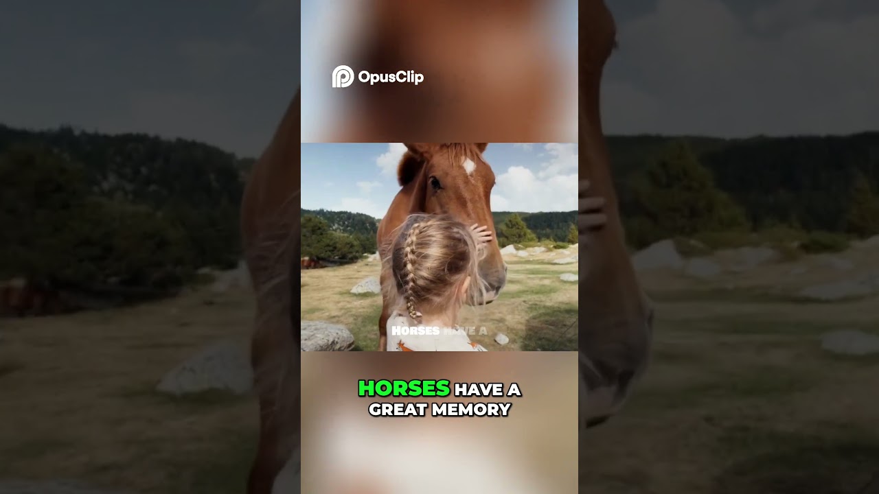 Little know facts about Horses