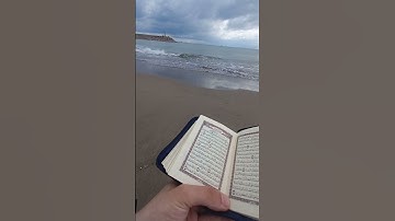 قرآن كريم Quran karim #chorts