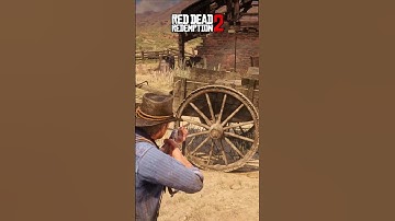 Red Dead Redemption 2 Vs Assassin