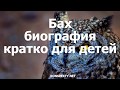 Бах: биография кратко для детей