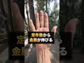 先日の5選動画で紹介した太陽線を、今日は1本だけ徹底解説します。#手相 #手相占い #太陽線 #金運 #老後 #スピリチュアル