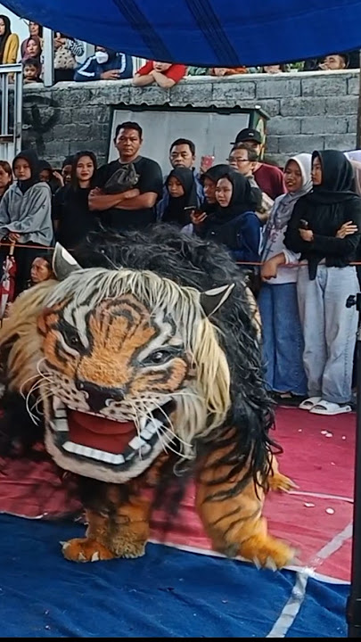 Saleho DJ viral•barongan macan lbm