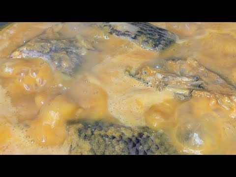 Cara Memasak Tempoyak Ikan Nila Makanan Khas Bengkulu