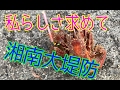 釣り動画ロマンを求めて　30釣目（湘南大堤防：江ノ島）