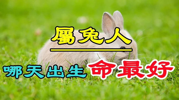 【十二生肖出生日命运】属兔的人哪天出生最好命？注定是大富大贵之人！ - 天天要闻