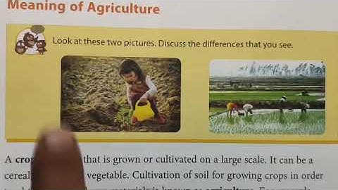 class-4 Next.Science Lesson-3 Fields to Kitchen Part-1 Meaning of agriculture