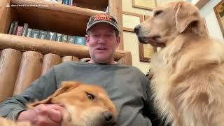 Ask A Heart Surgeon: Does Dog Ownership Lower The Risk Of Major Adverse Cardiovascular Events?